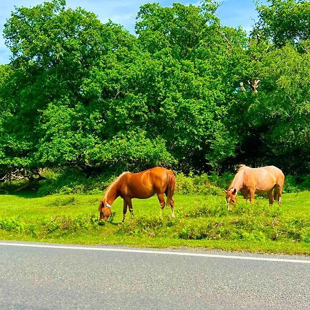 Апартаменты Forest & Beach Access Naish Park Нью Милтон Экстерьер фото