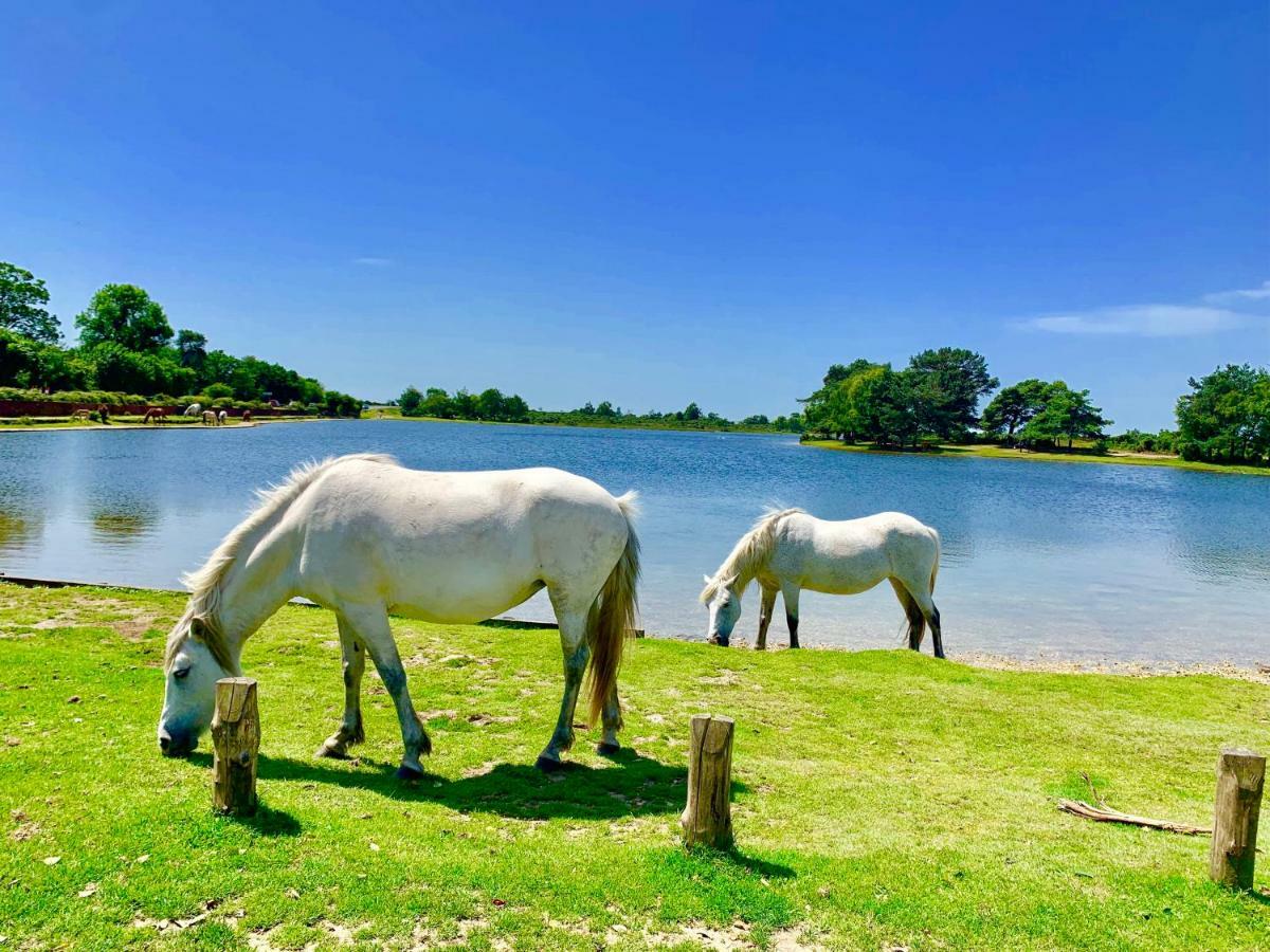 Апартаменты Forest & Beach Access Naish Park Нью Милтон Экстерьер фото
